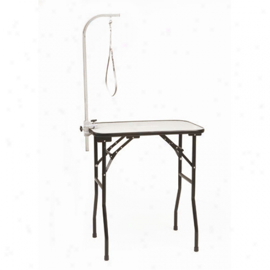 Exactness Pet Products Professional Table With Grooming Arm