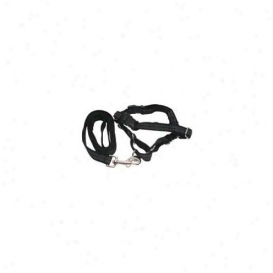 Premier Ewhrefhcs-mblk Reflecting Easy Walk Harness Small - MediumB lack With 3-4 X 6 Leash