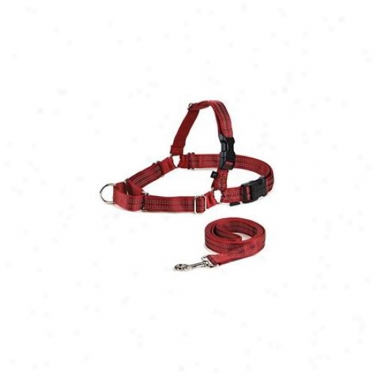 Premier Ewhrefhcs-mred Reflective Easy Walk Harness Small - Medium Red With 3-4 X 6 Leash