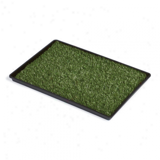 Prevue Hendryx Tinkle Turf