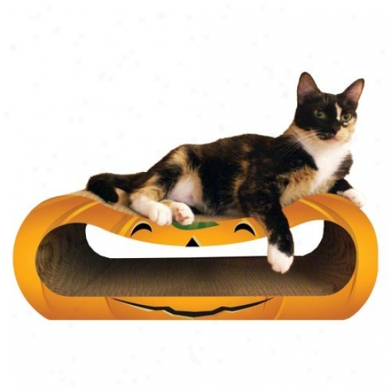 Pumpkin Scratch N Shape