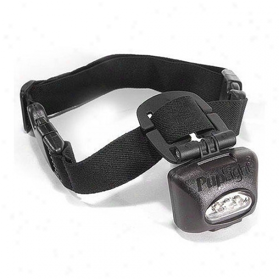 Puplight Lighted Dog Collar In Black