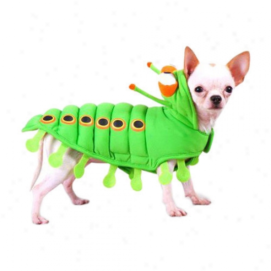 Puppe Love Caterpillar Dog Costume