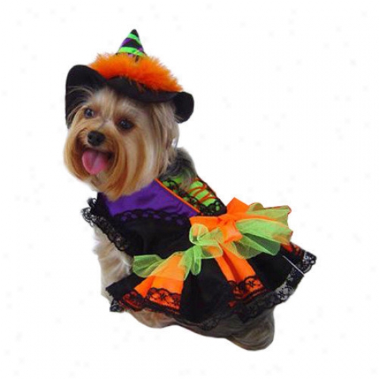Puppe Love Halloween Witch Dog Costume