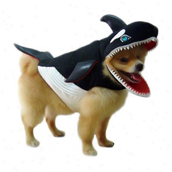 Puppe Love Killer Whale Dog Costume
