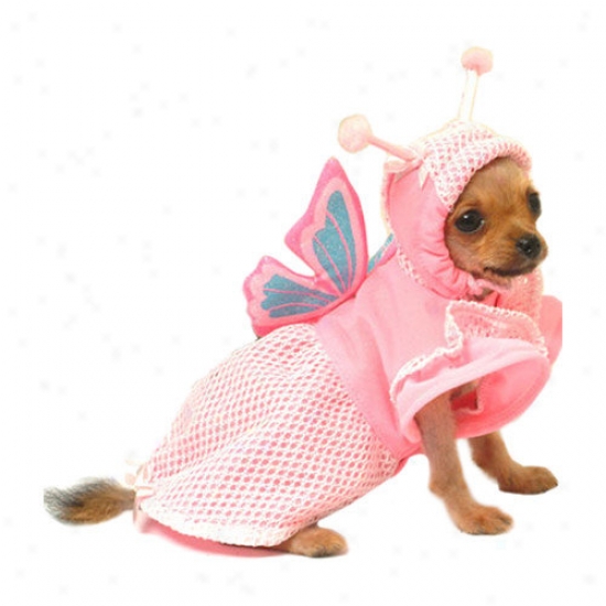 Puppe Love Lady Butterfly Dog Cistume