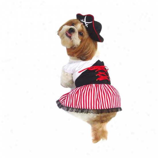 Puppe Love Lady Pirate Dog Costume
