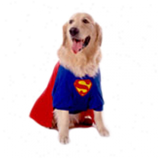 Puppe Love Superdog Dog Costume