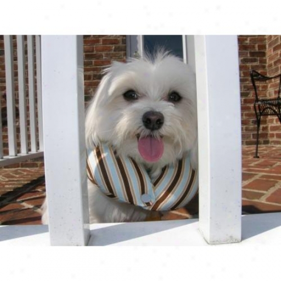 Puppy Bumpers Blusfrp1013 Blu Stripe Puppy Bumper 10 To 13in
