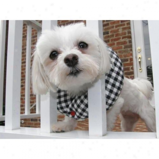 Puppy Bumpers Bwc1316 Black And White Check Puppy Bumper 13 To 16in