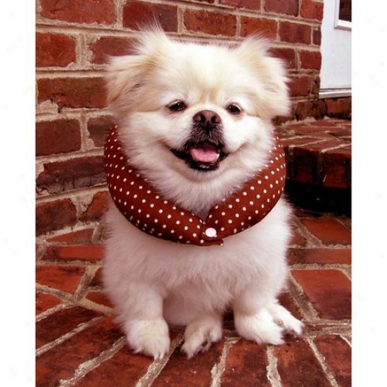 Puppy Bumpers Chocch1013 Chocolate Cherry Puppy Bumper 10 To 13in