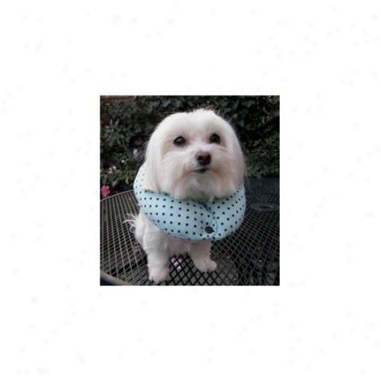 Puppy Bumpers Mcc1316 Mint Chocolate Chip Collar 13 Inch - 16 Inch