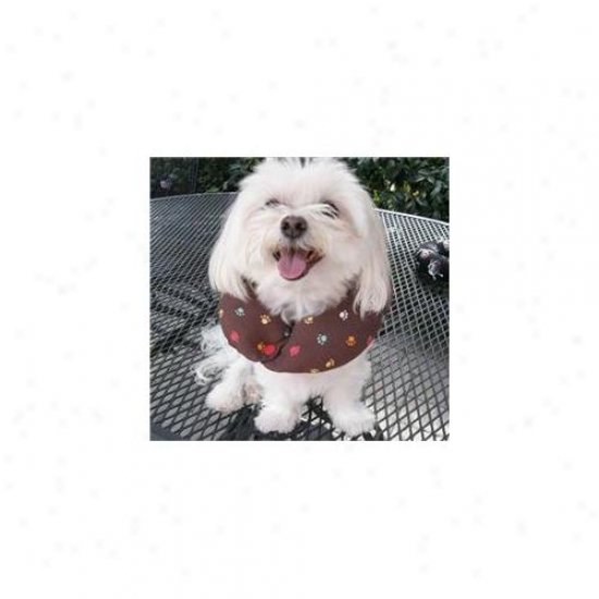 Puppy Bumpers Mudp1316 Muddy Paws Collar 13 - 16 Inch