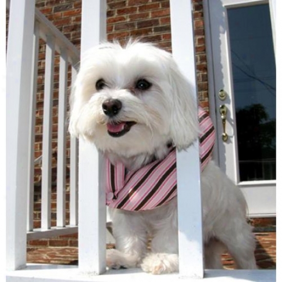 Puppy Bumpers Pnkstrp710 Pink Stripe Puppy Bumper Up To 10in