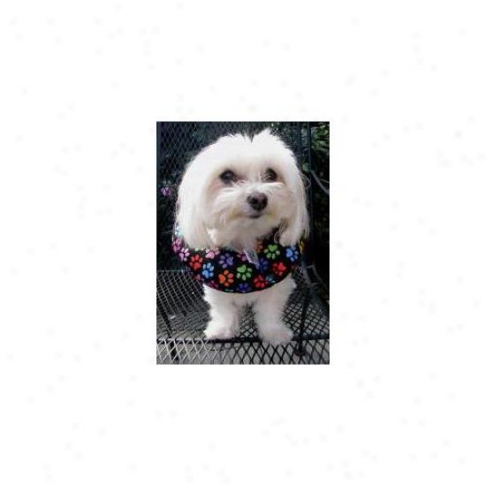 Puppy Bumpers Rbp1013 Rainbow Paws Collar 10 Inch - 13 Inch