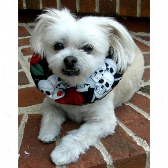 PuppyB umpers Sr1013 Skulls And Roses Puppy Bumper 10 To 13in