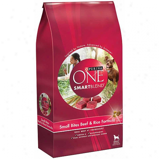 Purina One Beef & Rice Dry Dog Food, 8lb