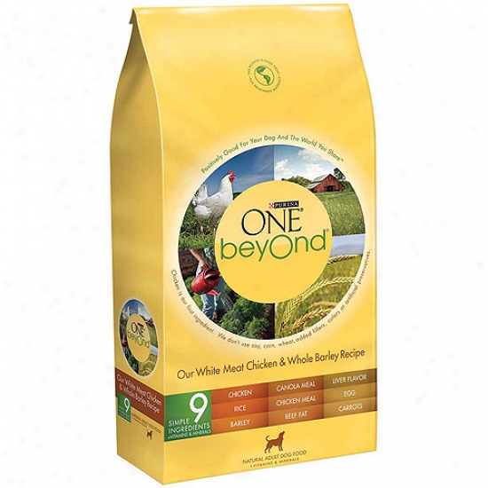Purina One Beyond Adult White Flesh Chicken And Whole Barley Recipe Dog Food, 14 Lbs