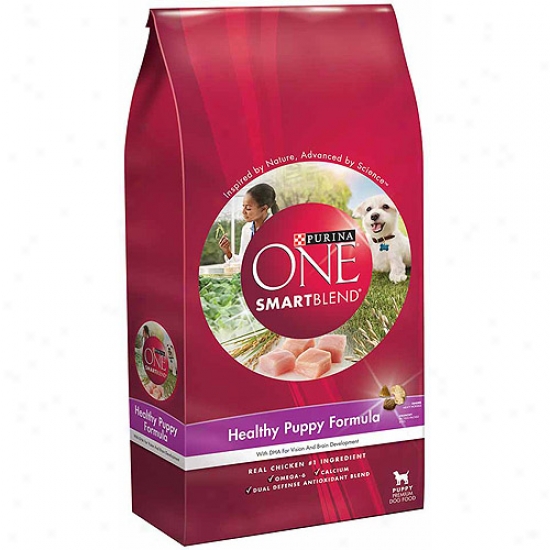 Purina The same Healthy Puppy Formula Purina Dry Dog Food, 8lb