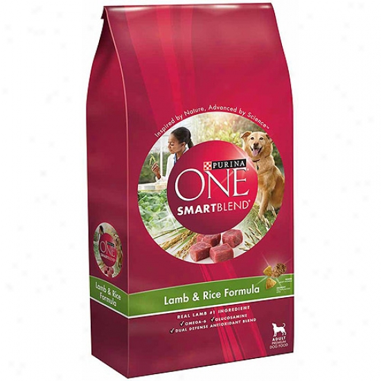 Purina One Smartblend Lamb & Rice Formula Dog Food, 31.1 Lbs