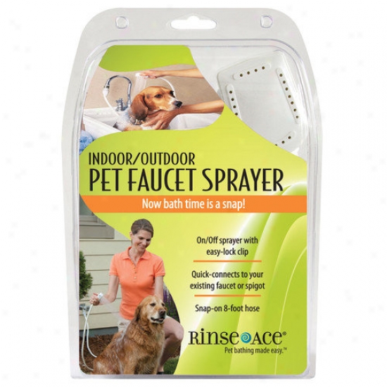 Rinse Ace Indoor / Outdoor Sprayer