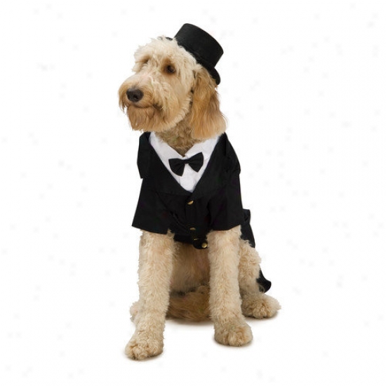 Rubies Dapper Dog Costume