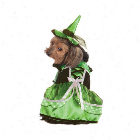 Rubies Neon Led Witch Dog Costume