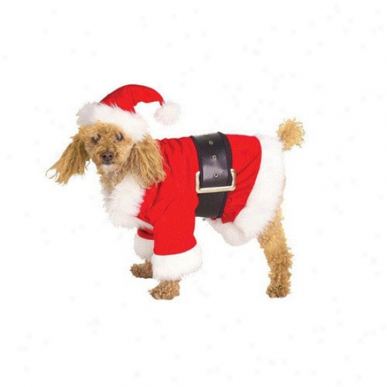 Rubies Santaclaus Dog Costume