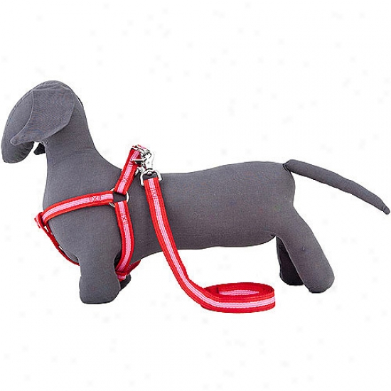 Rufus & Coco Bronte Dog Harness