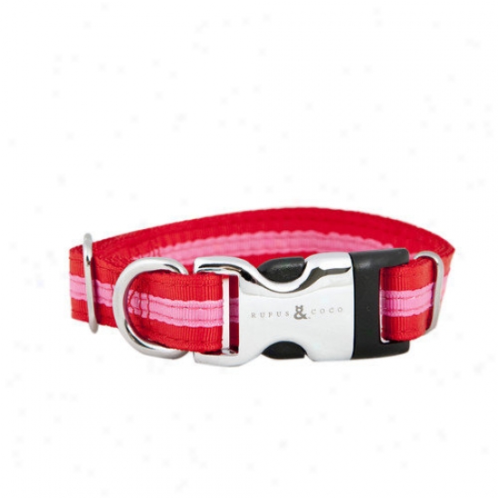 Rufus And Coco Rufus & Coco Bronte-striped Nylon Dog Collar