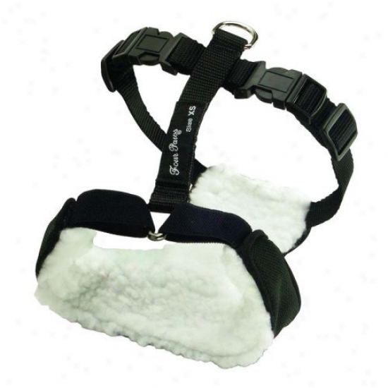 Safety Seat Sustenance Harness