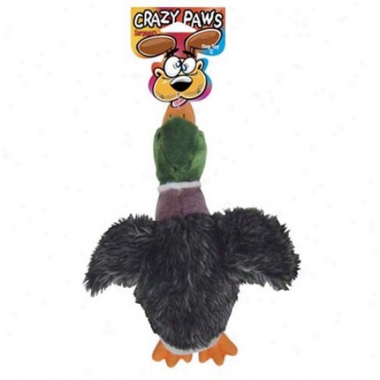 Sergeants 49868 Pet Care Products Crazy Paws  Plush Duck Dog Toy