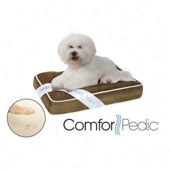 Simmons Pet Products Comforpedic Deluxe Orthopedic Napper Pwt Bed