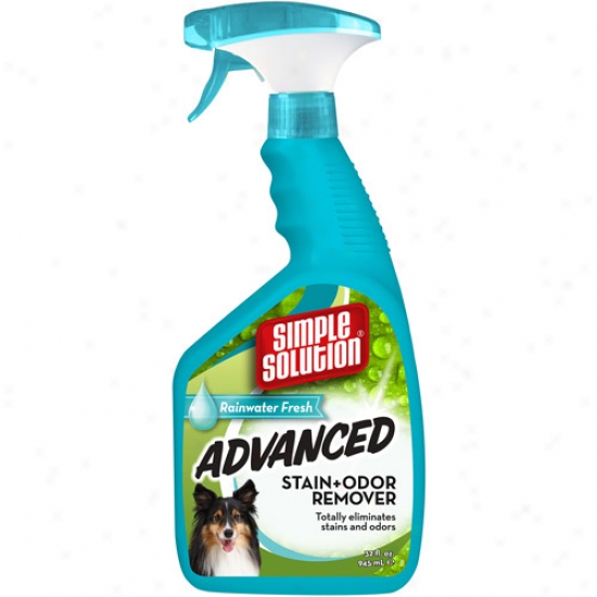 Simple Solution Advanced Blemish & Odor Remover, Rainwater Fresh, 32 Oz
