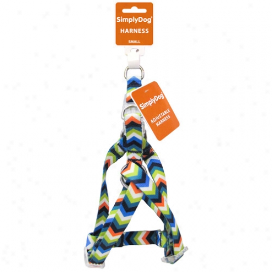 Simplydog Boys Chevron Heat Transfer Adjustable Dog Consistency Harness