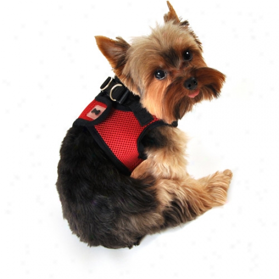 Simplydog Mesh Dog Body Harness, Red, (multiple Sizes Available)