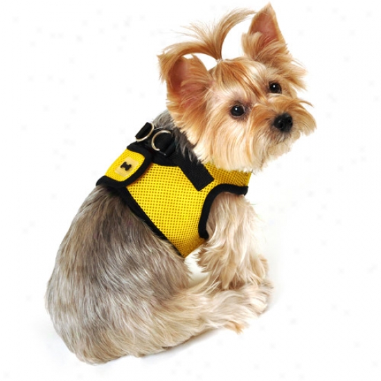 Simplydog Mesh Dog Body Harness, Yellow/black