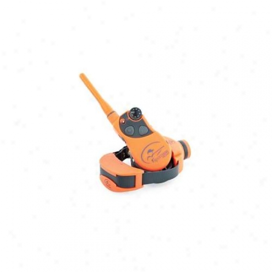 Sportdog Sd-1875 Uplandhunter Remote Beeper Trainer 1 Dog