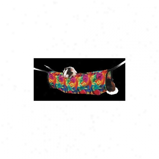Super Pet Ferret Death by the halter Play Tunnel