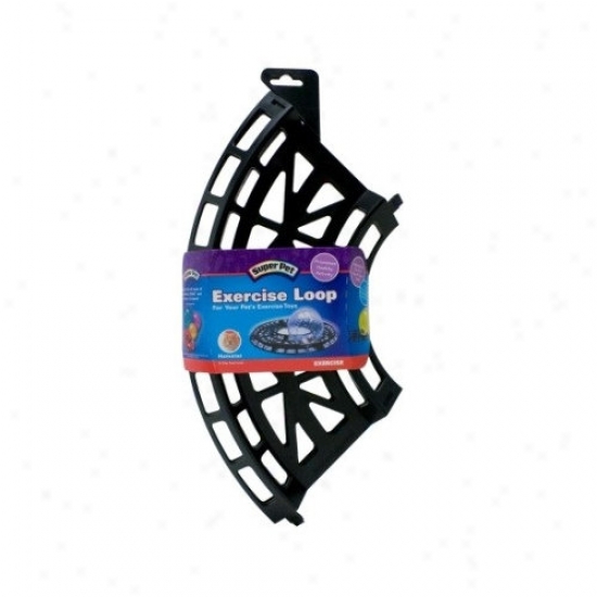 Super Pet Hamtrac Try Loop Pet Toy