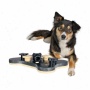 Trixie Pet Products Game Bone Dog Activity Game