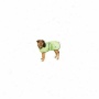 Weatherbeeta Usa Pet Kennel Deluxe Dog Blanket Jacket In Ywllow And Black