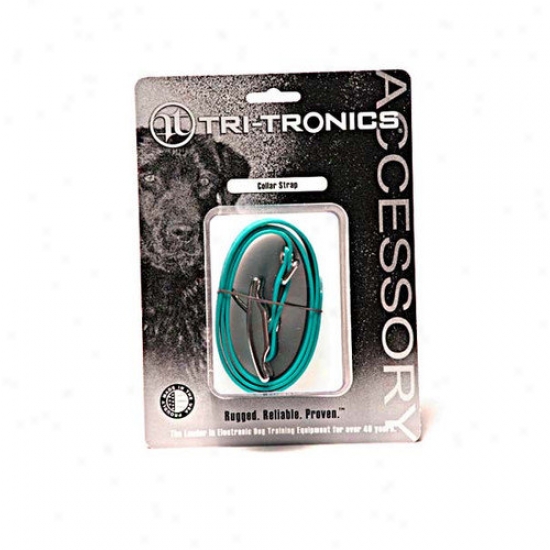Tri-tronics Collar Strap / Square Buckle / Nickel Hardware