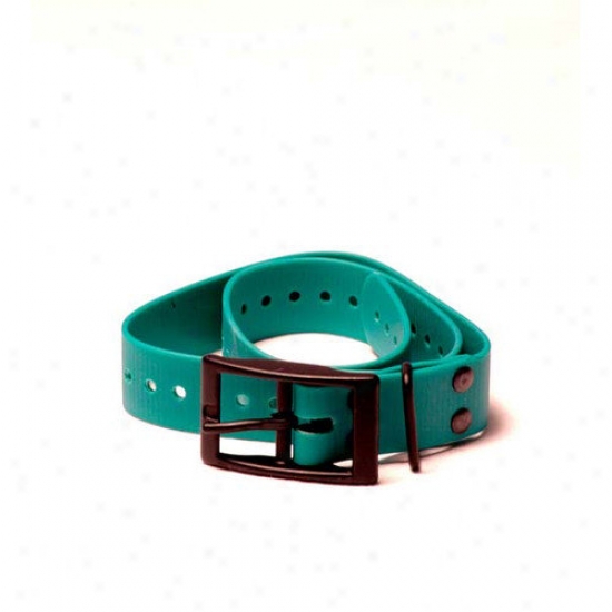 Tri-tronics CollarW itth Square Buckle And Black Hardware