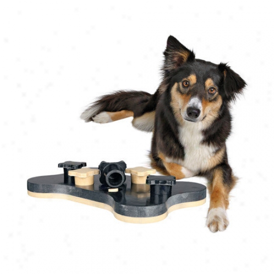 Trixie Pet Products Game Bone Dog Activity Gae