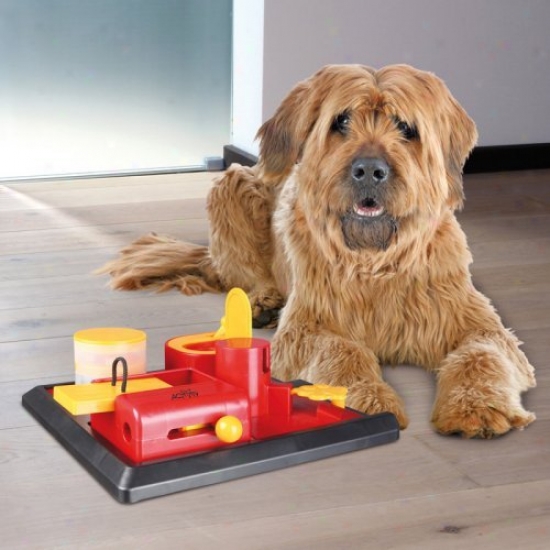 Trixie Pet Products Poker Box 2 - Level 2