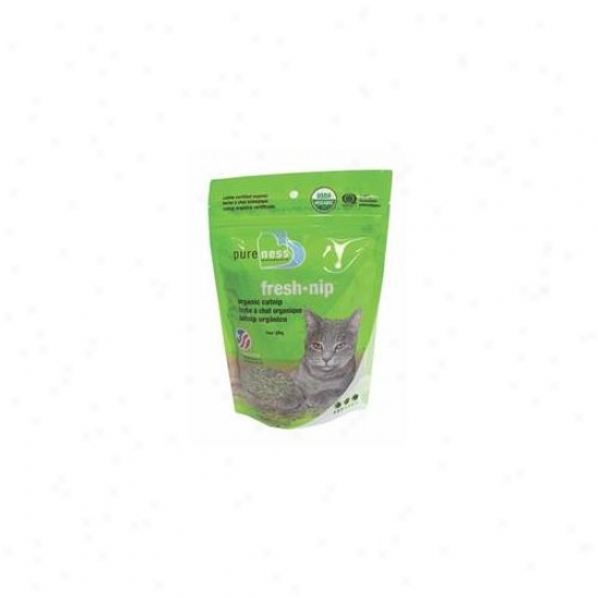 Van Ness Plastic Molding - Fresh Nip Organic Catnip 1 Ounce - Cn1