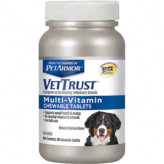 Vettrjst Multi-vitamin Chewable Tablets Conducive to Dogs, 60 Count