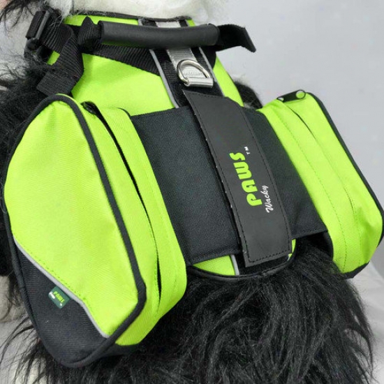 Wacky Paws Travel Dog Harness