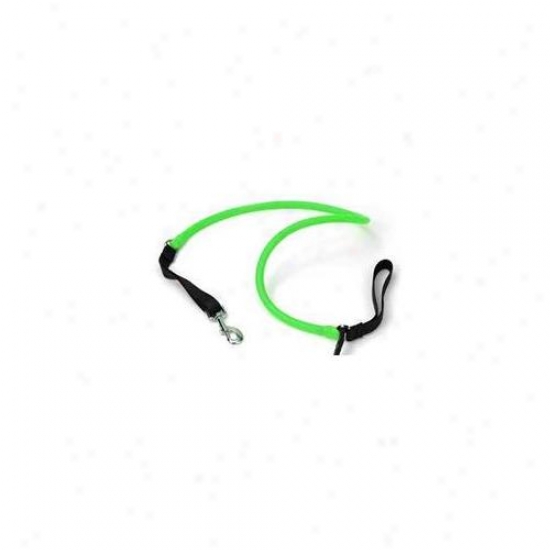 Wackywalk';r Wsgrn - Walkr - Small - Fluorescent Green